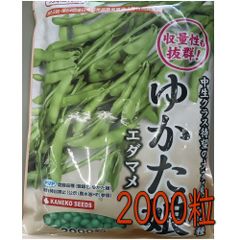 カネコ種苗 枝豆 ゆかた娘 2000粒