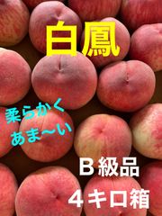山梨県産　もも(白鳳)  B級品4キロ箱