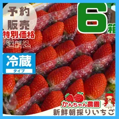 2025年最新】かんちゃん農園の人気アイテム - メルカリ