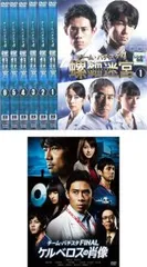 全巻セット【中古】DVD▼チーム・バチスタ(7枚セット)4 螺鈿迷宮 第1話～第11話 最終 + 劇場版 FINAL ケルベロスの肖像 レンタル落ち チーム・バチスタ(7枚セット)4 螺鈿迷宮 第1話～第11話 最終 +