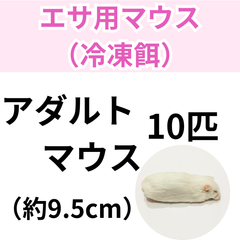 【冷凍餌】 冷凍アダルトマウス　　10匹入り　　爬虫類　両生類　エサ　餌　オオトカゲ　コーンスネーク　ボールパイソン　カエル　トカゲ　ヘビ 冷凍マウス　餌用マウス
