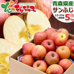 青森県産 ご家庭用 りんご サンふじ 5kg (訳あり/13玉～23玉入り) リンゴ りんご 林檎 果物 フルーツ 産地直送 お取り寄せ