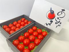【ギフト】糖度と旨味を凝縮したこだわりの”プレミアム”アザミュートマト👑🍅※熨斗対応可・お歳暮にも！