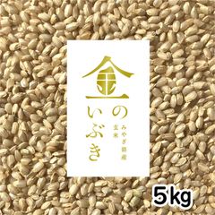 金のいぶき 宮城県産 胚芽の大きい玄米 5kg