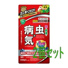住友化学園芸　ベニカＸガード粒剤　550g　2個セット