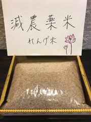 れんげ米（減農薬米）　令和4年度大阪南河内産　ヒノヒカリ　約2キロ
