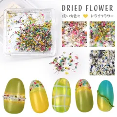 【送料無料】押し花 押花 ドライフラワー 春 お花 ハーバリウムアートネイルパーツ ネイルアート デコ 花 パーツ ジェル ジェルネイル ネイル用品 ネイル ジェルネイル用品 ネイルパーツ ジュエリー アート プリザーブトフラワー【押し花(四角ケース)】