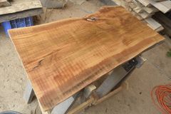 アウトレット サクラ(桜)の一枚板 長さ約96cm 幅約51～50cm 厚さ約3.6cm DIY用 Z284