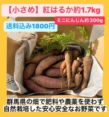 なっちゃんの紅はるか・にんじん