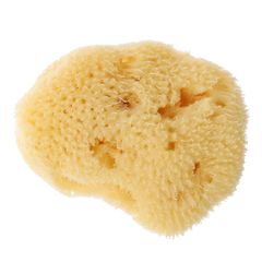 Item thumbnail for item dcb5bddb-b54c-43d6-84a1-ec1a3d15731c