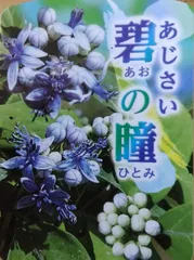2023年最新】紫陽花挿し木の人気アイテム - メルカリ
