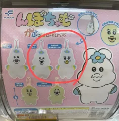 【新品】んぽちゃむ 韓国限定 フィギュア コンプセット きみまろ ※バラ売り不可 んぽちゃむ・韓国POPUP ランダムフィギュア コンプリート セット
