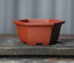 2025年最新】中国宜興 鉢の人気アイテム - メルカリ