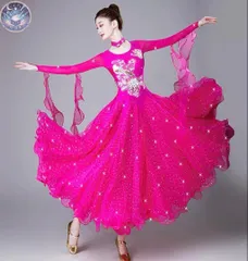 新品 未使用 華やかなスタンダードドレス ストーン付き★競技会・デモ発表会に！