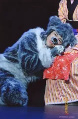 【中古】生写真(ジャニーズ) Snow Man/阿部亮平/ライブフォト・膝上・膝枕・衣装グレー・白・着ぐるみ・2Lサイズ/「滝沢歌舞伎ZERO」ステージフォト第4弾