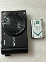 SONY デジカメ DSC-WX300 光学ズーム20倍 18.2M pixel SONY デジカメ DSC-WX300 光学ズーム20倍 18.2M pixel