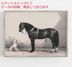 mz ポスター A3 (A4も可) 馬と犬   写真 馬と犬ヴィンテージウォールアート  リトグラフ  アンティーク   