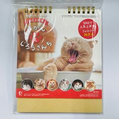 [ゆうメール配送] みかんとじろうさんち　猫　2025年（令和7年）　卓上カレンダー・デスクカレンダー・新日本カレンダー　NK-8527 4985849116623 ※在庫処分※