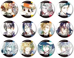 【中古】バッジ・ピンズ 全12種セット 「家庭教師ヒットマンREBORN! トレーディング Ani-Art 第4弾 缶バッジ」