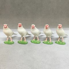 海洋堂 チョコエッグ ブンチョウ 白文鳥  5体