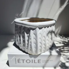 2025年最新】韓国鉢 植木鉢の人気アイテム - メルカリ