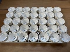 トレー&鉢セット　HX2.5白(35個)とPMT-35(1個)
