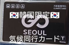 韓国限定 気候同行カード 交通系ICカード　乗り放題 韓国 ソウル