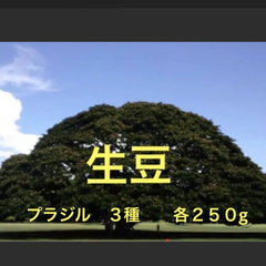 コーヒー生豆　　ブラジル３種    各２５０gずつ