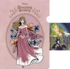 【中古】グッズセット 眠れる森の美女 ステーショナリーアソート(クリアファイル＆ステッカー) 「一番くじ ディズニープリンセス Dream in color」 G賞