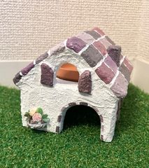 爬虫類　シェルター　お家