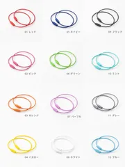 軽量で丈夫なステンレス製ワイヤーキーホルダー 全12色12本セット