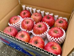 信州産「赤田の家」サンふじ　マーシーさま専用