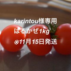 【karintou様専用】完熟ミニトマトはるかぜ1kg