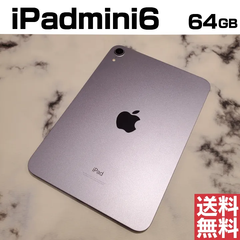[No.Mn220] iPadmini6 64GB【バッテリー90％】