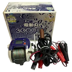 2025年最新】電動丸 3000EVの人気アイテム - メルカリ