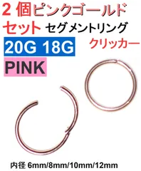 20G 18G ピンクゴールド2個セット セグメントリング クリッカー サージカルステンレス リング ピアス