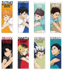 【新品】バッジ・ビンズ 【BOX】ハイキュー!! トレーディングロング缶バッジ ～レシーブ～