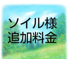ソイル様〜速達料金です