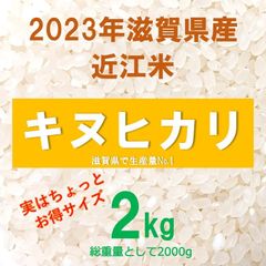 2023年滋賀県産 近江米 キヌヒカリ 1920g+α 精米いたします！