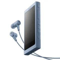 2025年最新】SONY ソニー IER-NW500Nの人気アイテム - メルカリ