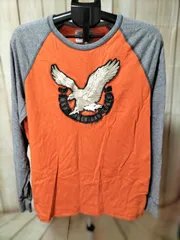 American Eagle Outfitters（アメリカンイーグル）ヴィンテージ イーグル刺繍 ラグラン ロングスリーブTシャツ オレンジ×グレー Lサイズ