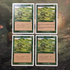 【希少】Summer magic 茨の壁 サマーマジック MTG 希少】Summer magic 茨の壁 サマーマジック MTG