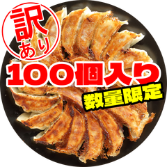 【訳あり】わんぱく餃子 100個入り 生姜無し にんにく控えめ カルシウム マグネシウム配合 わんぱく餃子 ぎょうざ ギョウザ B品 B級品 訳アリ フードロス
