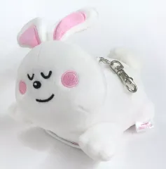 【中古】財布・パスケース うさぎ すやすやシリーズ パスケース 「たべっ子どうぶつ」