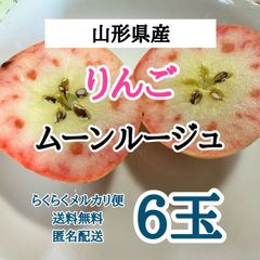 山形県産 りんご ムーンルージュ 6玉 箱込み1.7kg-2kg