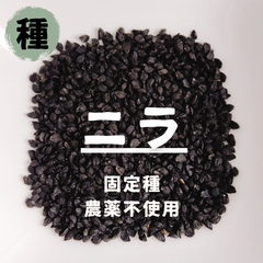 【種】ニラ　にら　農薬不使用　100粒
