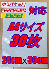 宅配用 防水 テープ付 ビニール袋 A4サイズ 30枚セット 梱包用資材
