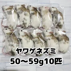 2025年最新】ヤワゲネズミの人気アイテム - メルカリ