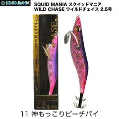 エギ 13個セット 多色 31iqlItuoCL.jpg_BO30,255,255,