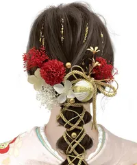 浴衣用 袴 着物 卒業式 振袖 和装 かすみ草 ドライフラワー 9色展開 成人式 A1800 髪飾り [JZOON]